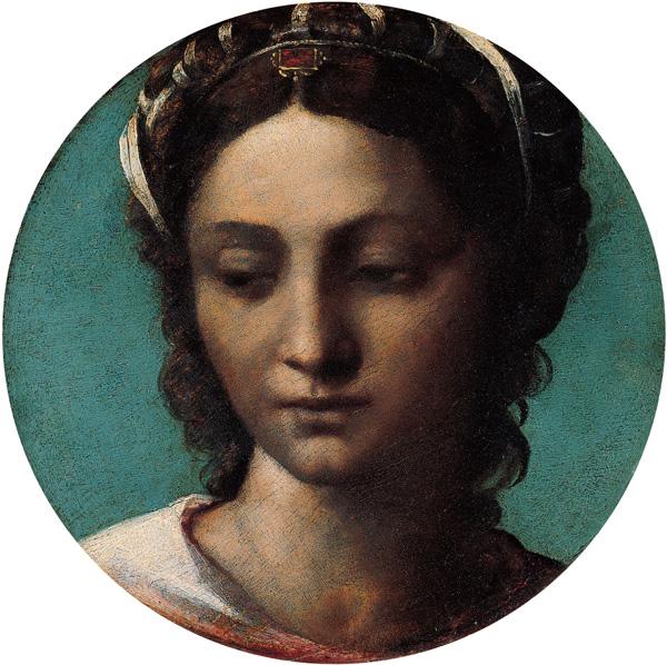 Sebastiano del Piombo Head of a Woman oil painting image